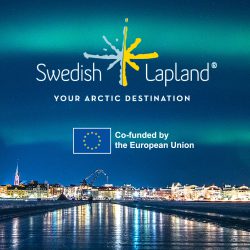 Swedish-Lapland---northern-lights